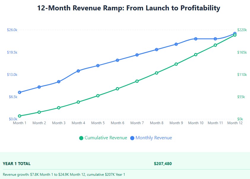 Revenue growth: $7.8K Month 1 to $24.9K Month 12, cumulative $207K Year 1