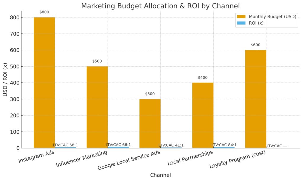 Marketing budget vs ROI by channel