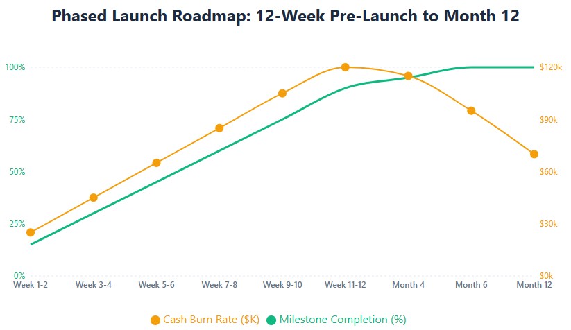 Launch timeline: 12-week build, Month 4 full launch, Month 6 break-even, Month 12 profitability