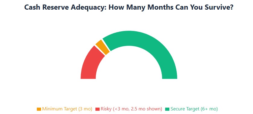 Reserve gauge: 2.5 months risky, 3 months minimum, 6 months secure